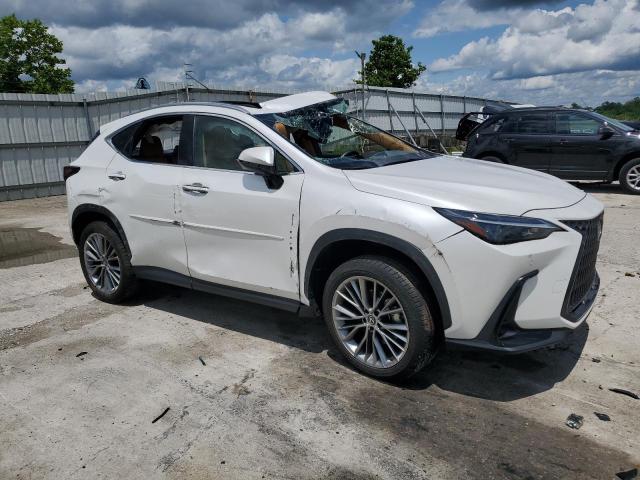 2022 LEXUS NX 350H 2T2GKCEZ2NC001662