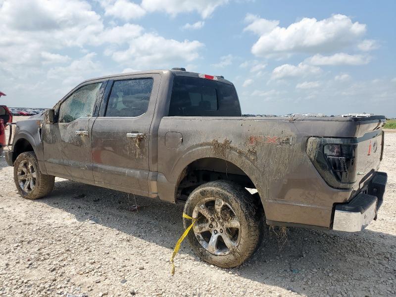 FORD F150 SUPER 2021 brown  gas 1FTFW1E57MKE40018 photo #3