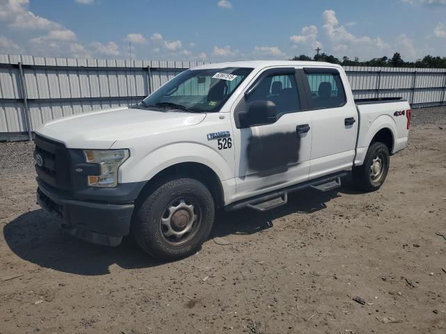 Vin: 1ftew1ef5ffa73720, lot: 62667515, ford f-150 supercrew 2015 img_1