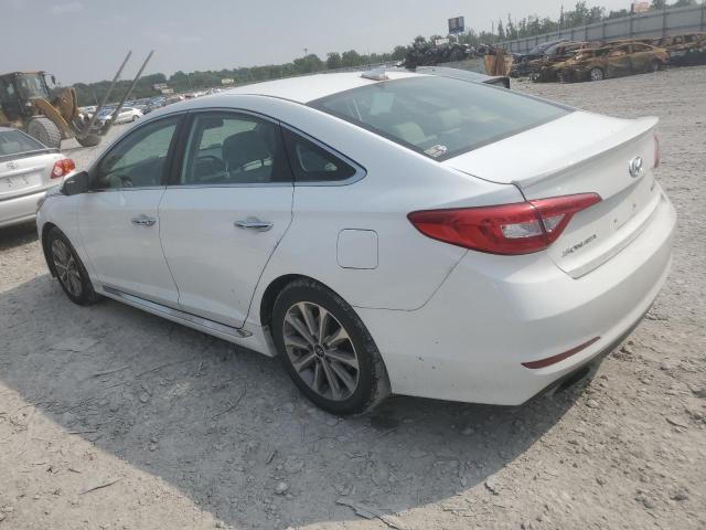 2016 HYUNDAI SONATA SPO - 5NPE34AF2GH391642