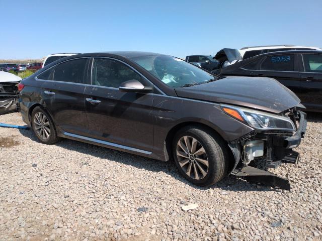 2016 HYUNDAI SONATA SPO 5NPE34AF9GH435880