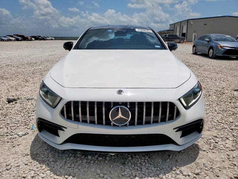2019 MERCEDES-BENZ CLS AMG 53 WDD2J6BB7KA042949