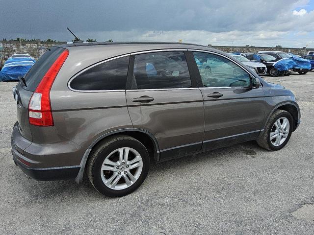 HONDA CR-V EXL 2010 gray  gas 5J6RE4H70AL031812 photo #4