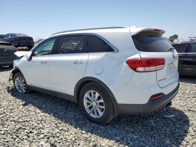 KIA SORENTO LX 2016 white  gas 5XYPGDA59GG121206 photo #3