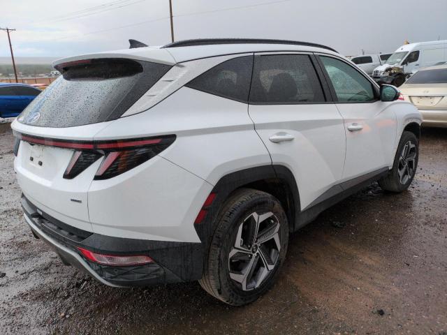 2023 HYUNDAI TUSCON 5NMJECAE7PH235538