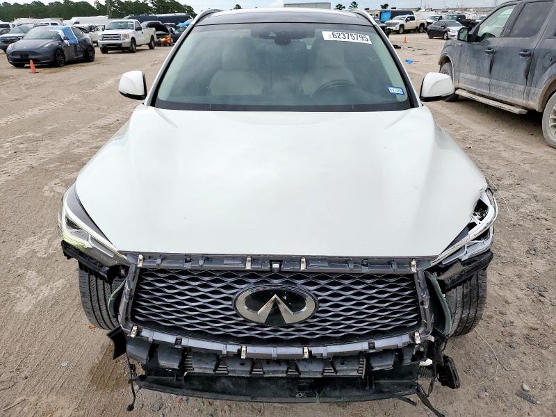 2019 INFINITI QX50 ESSEN - 3PCAJ5M36KF115032