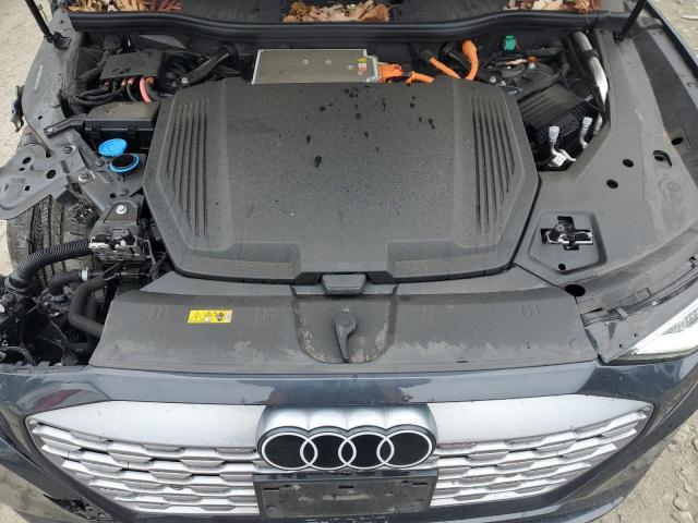 2024 AUDI Q8 E-TRON - WA15ABGE1RB057061