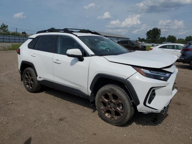 2023 TOYOTA RAV4 WOODL 2T3UWRFV4PW151890