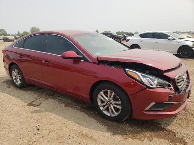 Vin: 5npe24afxgh424969, lot: 58990775, hyundai sonata se 20164