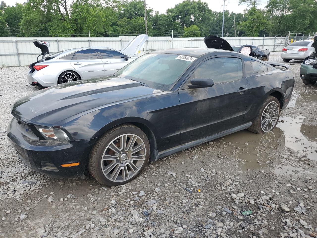 FORD MUSTANG