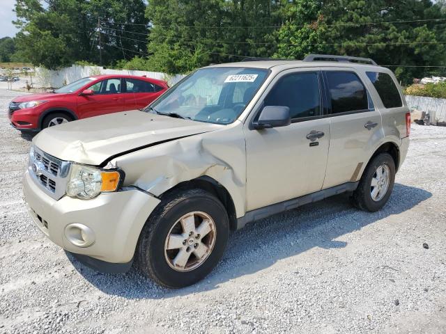 Vin: 1fmcu0d78bkb75026, lot: 62211625, ford escape xlt 2011 img_1