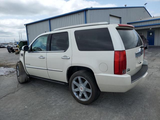 2010 CADILLAC ESCALADE P - 1GYUKCEF4AR235776