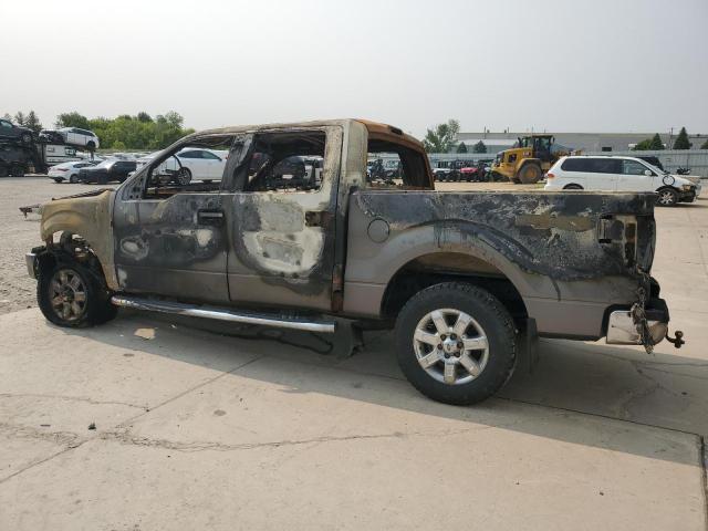 Vin: 1ftfw1et9dke69390, lot: 58533995, ford f-150 supercrew 20132
