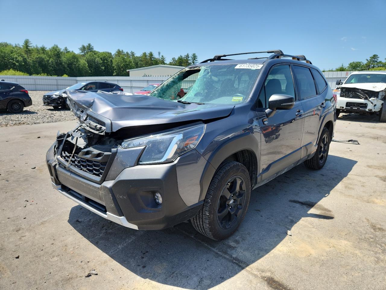 SUBARU FORESTER WILDERNESS