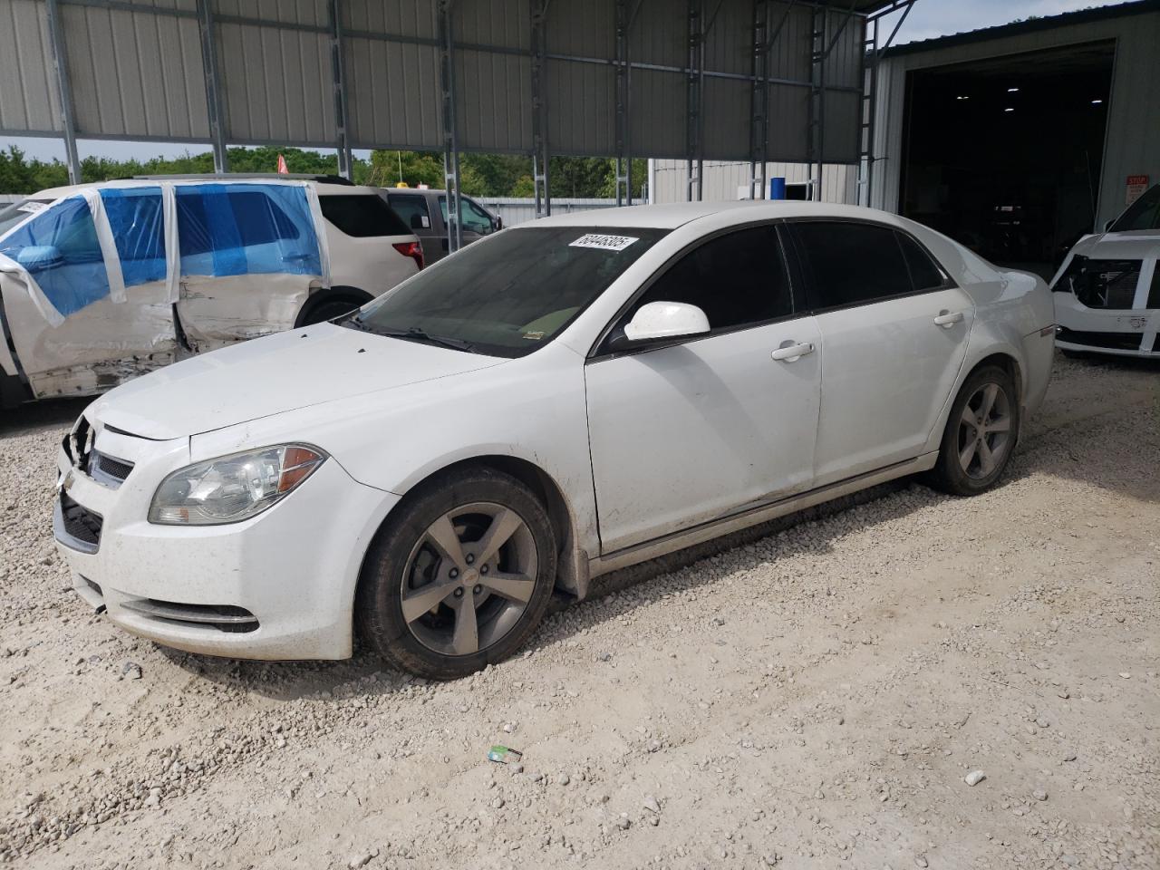 CHEVROLET MALIBU 1LT