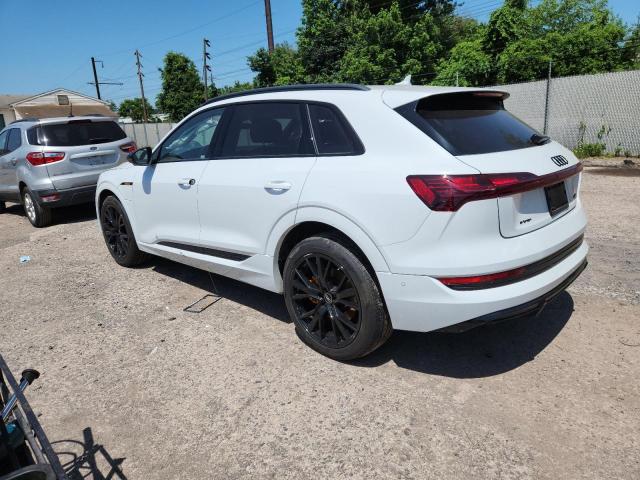 2023 AUDI E-TRON CHR WA1VABGE3PB001314