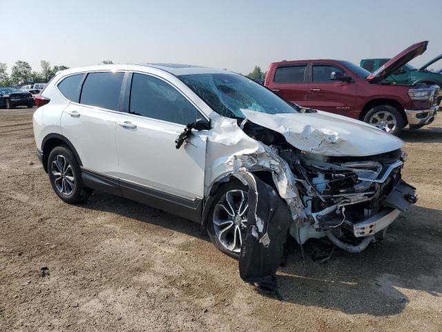 Vin: 7farw2h88ne002586, lot: 59690655, honda crv exl 20224