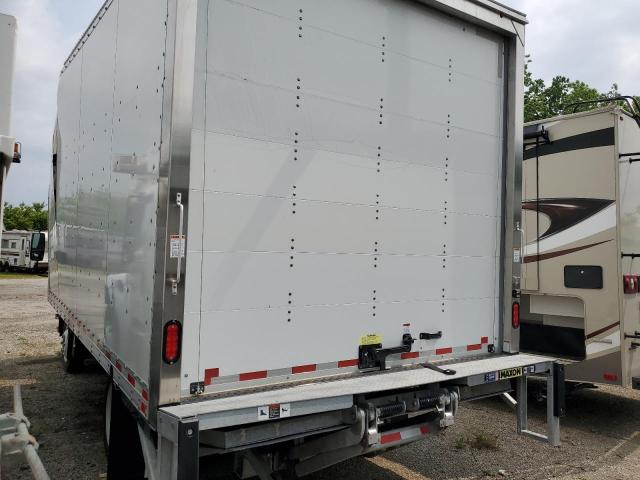 ISUZU NQR 2024 white  diesel JALE5W165R7901185 photo #3