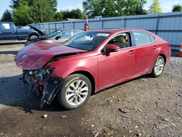 Vin: jthbw1gg1e2040792, lot: 62398385, lexus es300 300h 2014 img_1