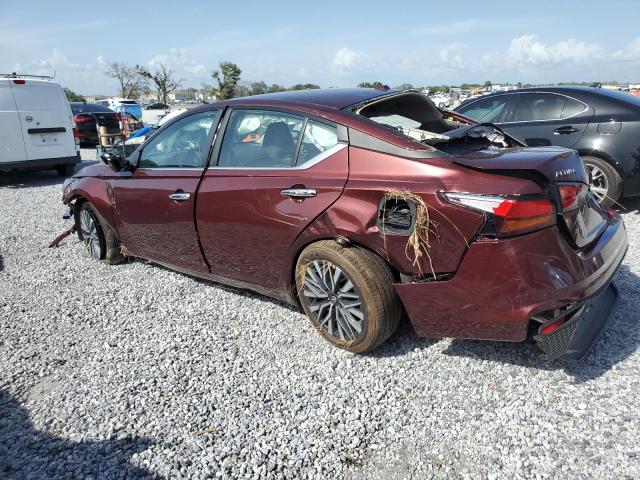 Vin: 1n4bl4dv4sn343175, lot: 59775405, nissan altima sv 20252