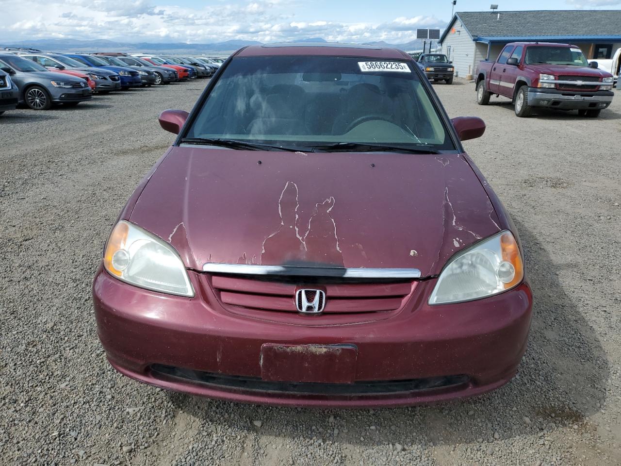 Global Auto Auctions