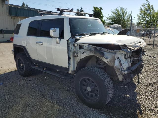 Vin: jtebu4bf0dk172220, lot: 62024875, toyota fj cruiser 20134