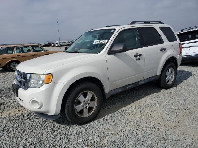 Vin: 1fmcu0d7xbkb73083, lot: 61491275, ford escape xlt 2011 img_1