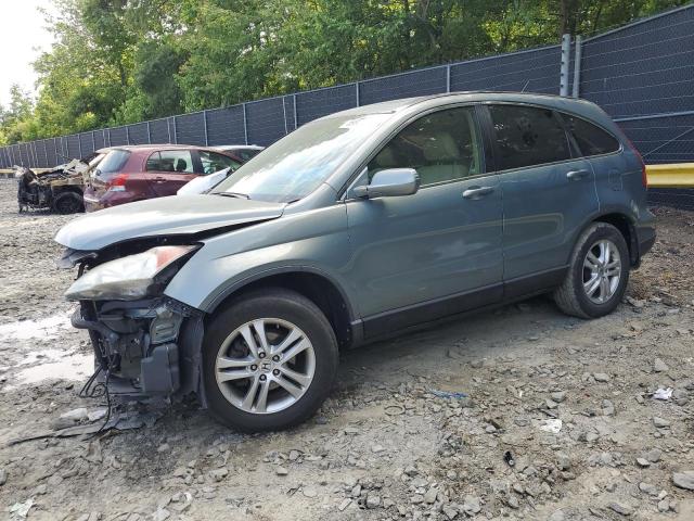 Vin: 5j6re4h72al022559, lot: 59920035, honda crv exl 2010 img_1