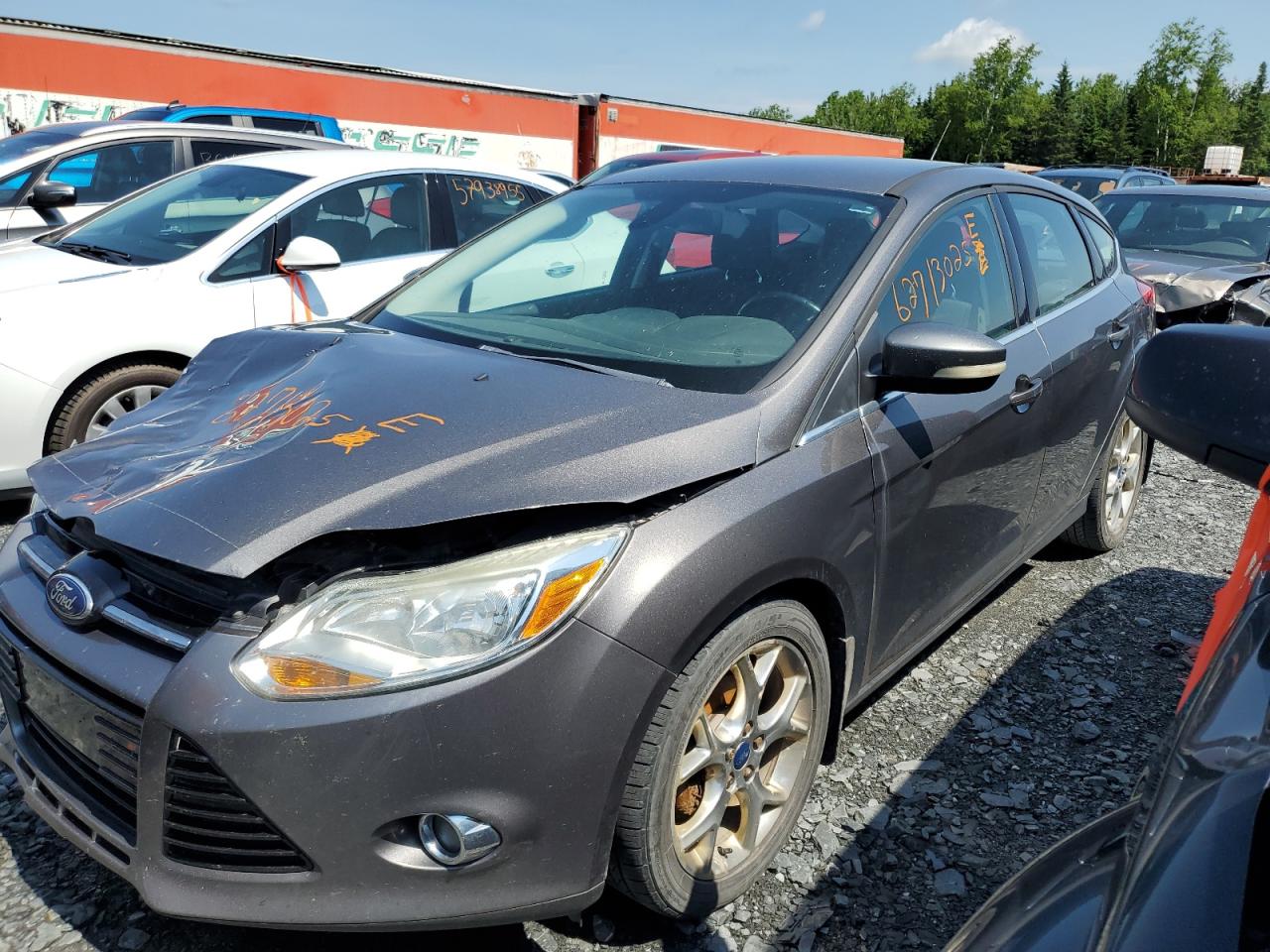 FORD FOCUS SEL