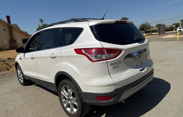 FORD ESCAPE SEL 2013 white 4dr spor gas 1FMCU0H95DUC62529 photo #4