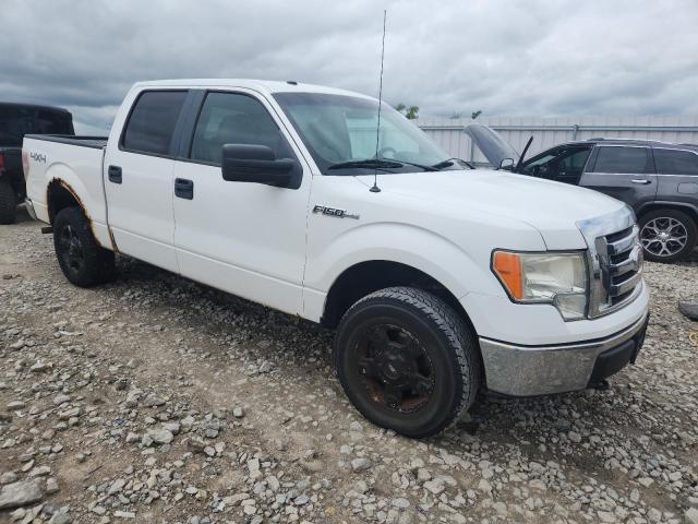 Vin: 1ftew1e80afa10938, lot: 62770355, ford f-150 supercrew 20104