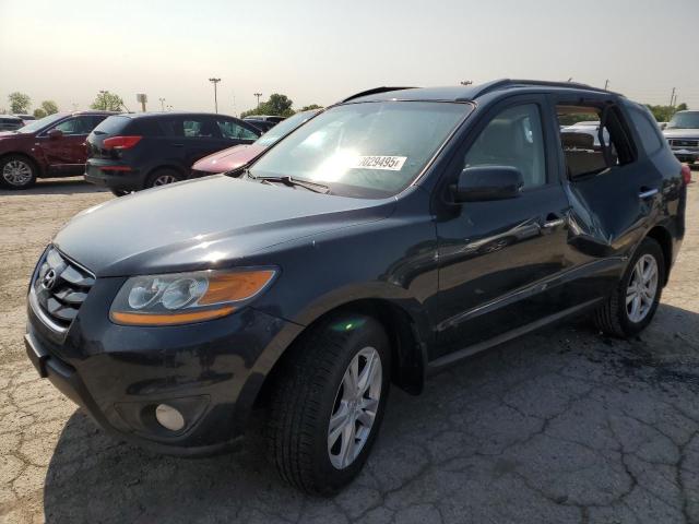 Vin: 5xyzk3ab0bg034505, lot: 59029495, hyundai santa fe limited 2011 img_1