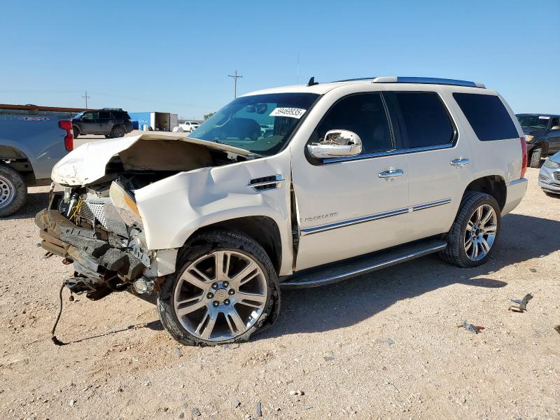 CADILLAC ESCALADE L 2008 beige  gas 1GYFK63838R239603 photo #1