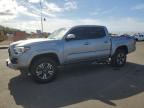 2019 TOYOTA TACOMA DOU - 3TMAZ5CN8KM094904