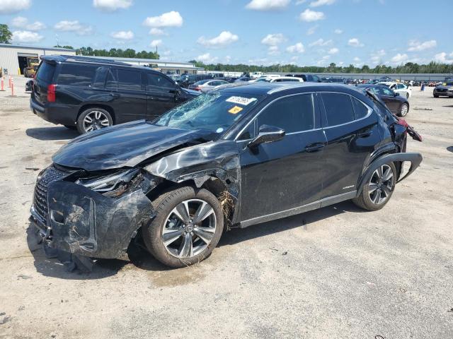 LEXUS UX 250H