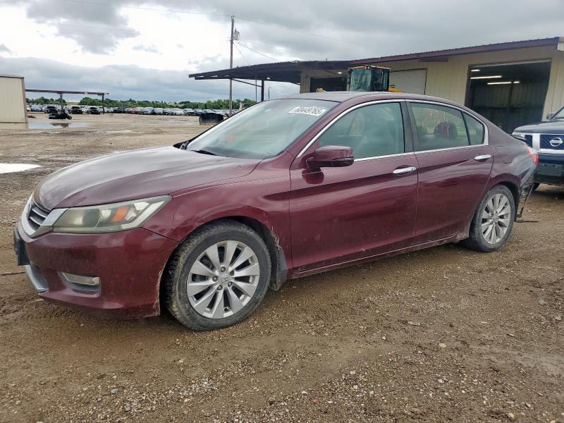 HONDA ACCORD EXL