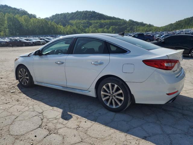 2016 HYUNDAI SONATA SPO 5NPE34AF7GH326379
