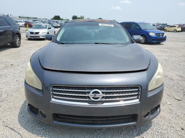 2010 NISSAN MAXIMA S - 1N4AA5AP6AC829106
