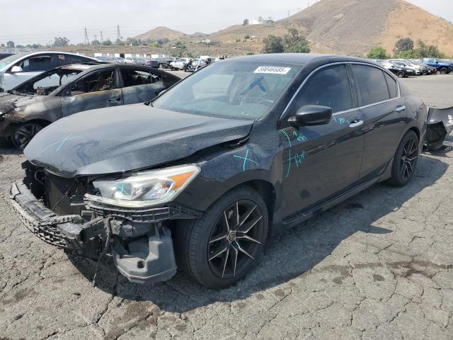 HONDA ACCORD SPO