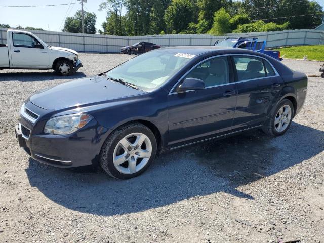 Vin: 1g1zc5eb8af158230, lot: 61627705, chevrolet malibu 1lt 2010 img_1