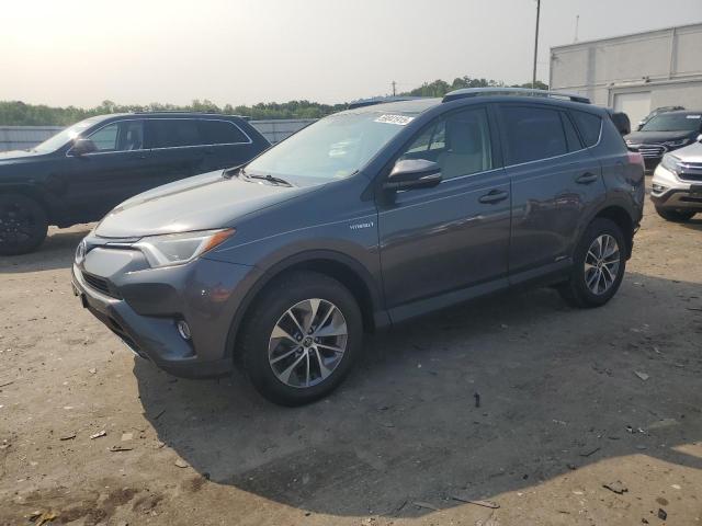Vin: jtmrjrev2gd048132, lot: 59041915, toyota rav4 xle 2016 img_1