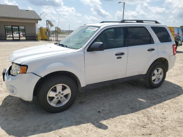 FORD ESCAPE XLT