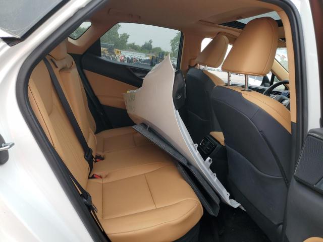 2025 LEXUS NX 350H BA JTJGKCEZ4S5034124