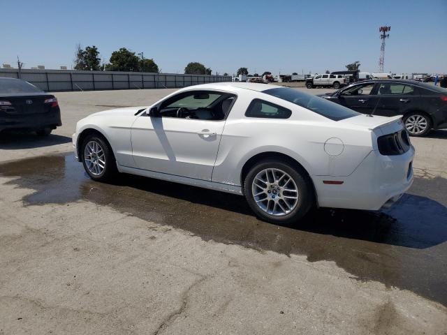 2013 FORD MUSTANG - 1ZVBP8AM3D5249841