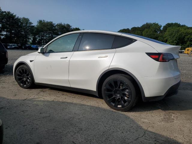 Vin: 5yjygdee4mf084454, lot: 59140455, tesla model y 20212