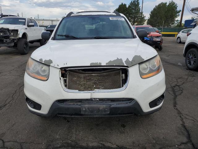 2010 HYUNDAI SANTA FE G - 5NMSGDAB7AH405902