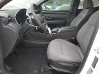 Lot #3317770143 2024 HYUNDAI SANTA CRUZ SE