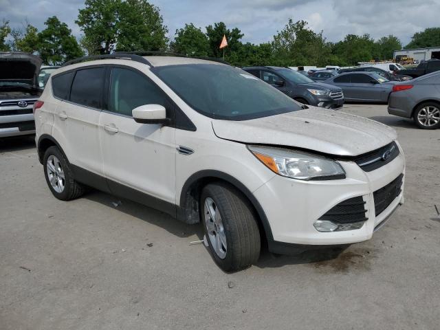 2014 FORD ESCAPE - 1FMCU0GX4EUB45820