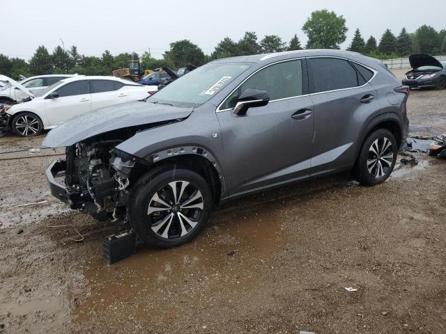 LEXUS NX 300 BAS