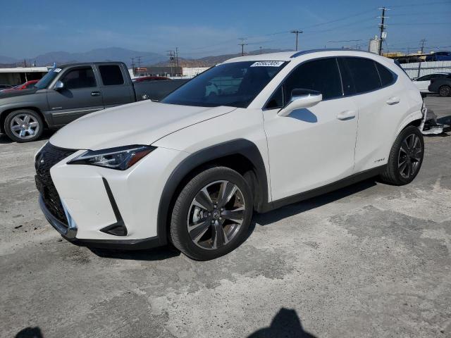 LEXUS UX 250H